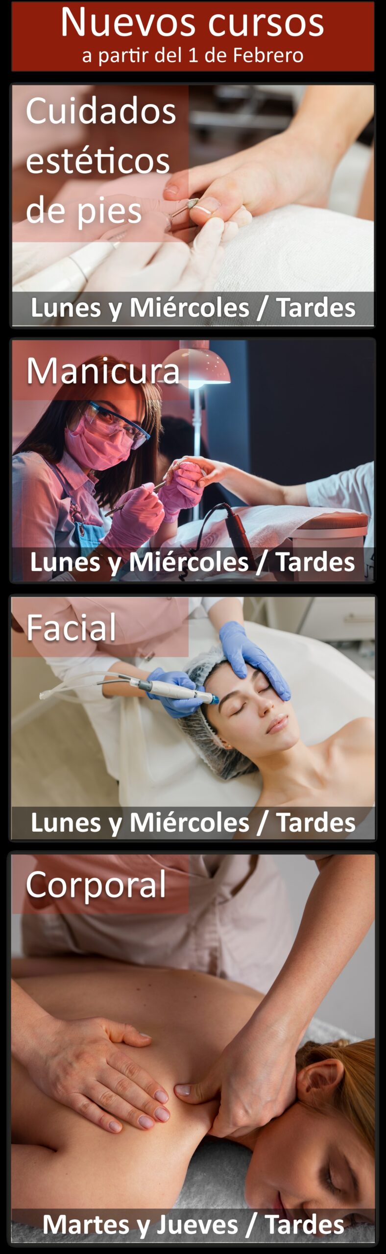 Nuevos cursos